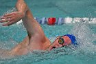 Swim vs Bentley  Wheaton College Swimming & Diving vs Bentley University. - Photo by Keith Nordstrom : Wheaton, Swimming & Diving